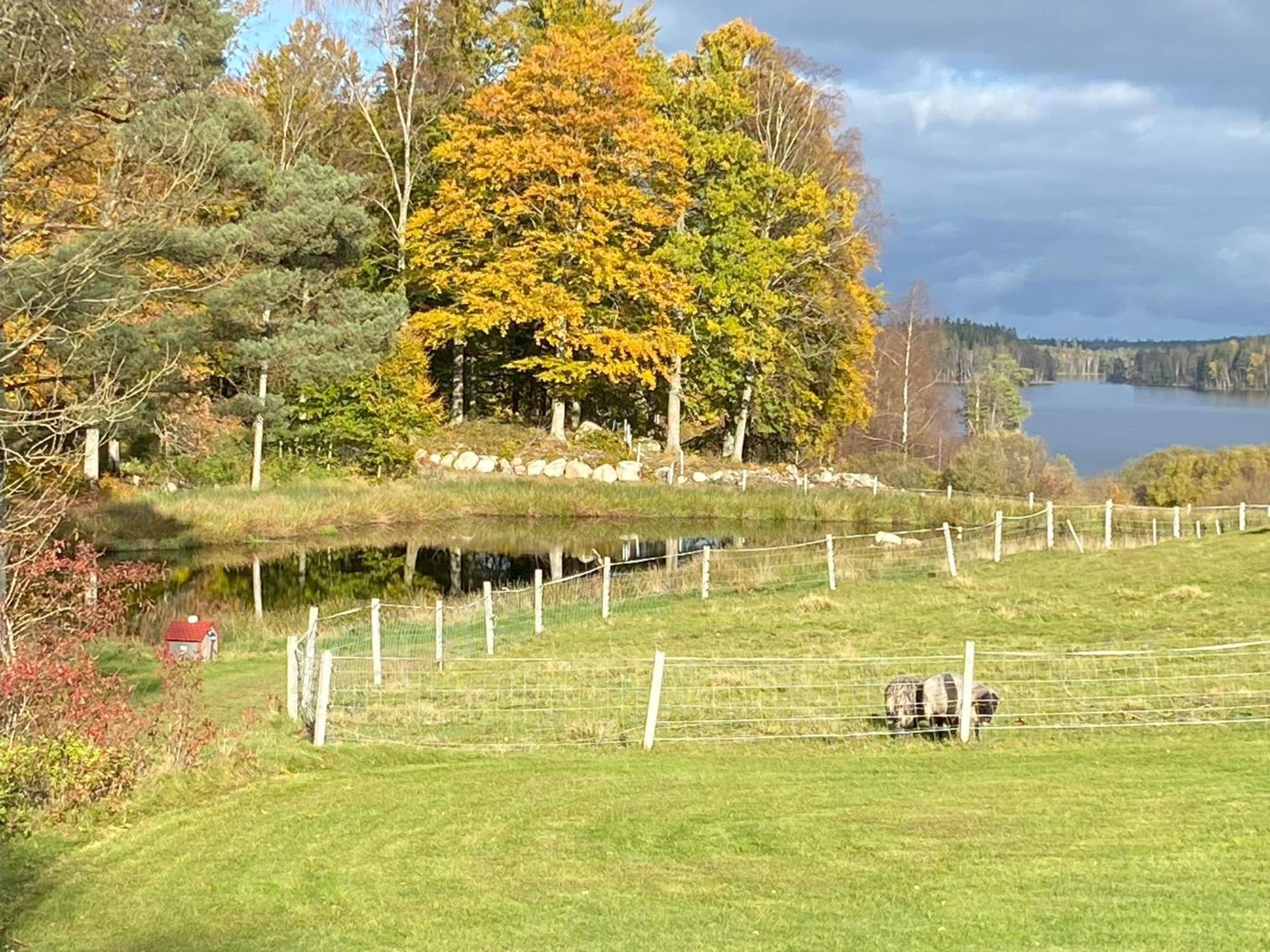 Joarsbo, Stuga 3, Klinten Kalv Exterior foto